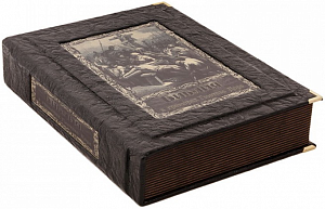 Библия в гравюрах Гюстава Доре (в подарочном коробе)